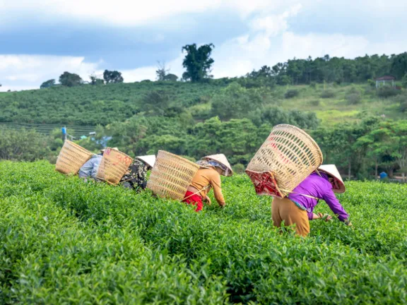 Workers working at a farmer