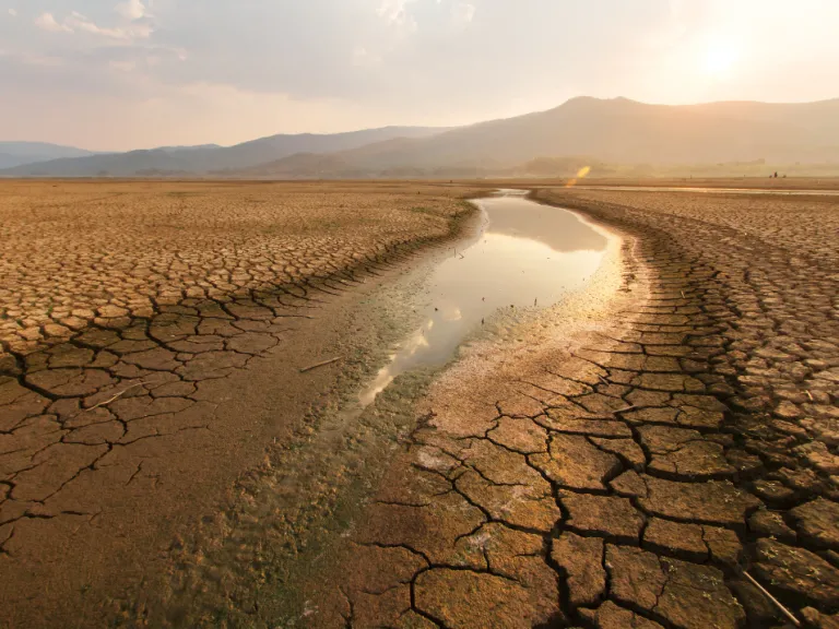 Parched and scorched earth 