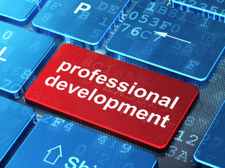 professional development graphic